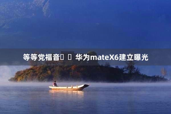 等等党福音❗️华为mateX6建立曝光