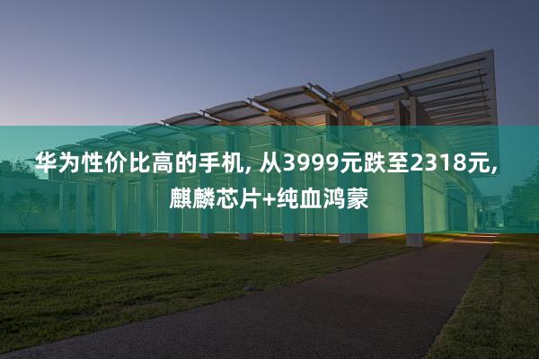 华为性价比高的手机, 从3999元跌至2318元, 麒麟芯片+纯血鸿蒙